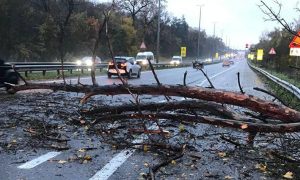 Українська столиця встановила новий погодний рекорд