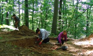 На Франківщині археологи розкопали поселення трипільської культури