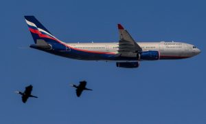 Санкції проти рф: низку аеропортів та авіакомпаній відключать від міжнародного домена