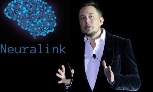 Neuralink звинуватили у смерті кількох мавп, Маск відповів