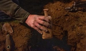 Учені проростили насіння, сховане 144 роки тому