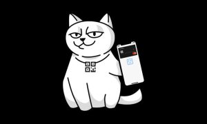 Koto не прижився в Британії: засновники monobank закривають новий проєкт - причини