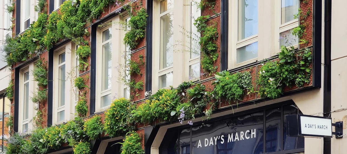 Шведська компанія створить «живу» стіну в Києві – шукають локацію в центрі