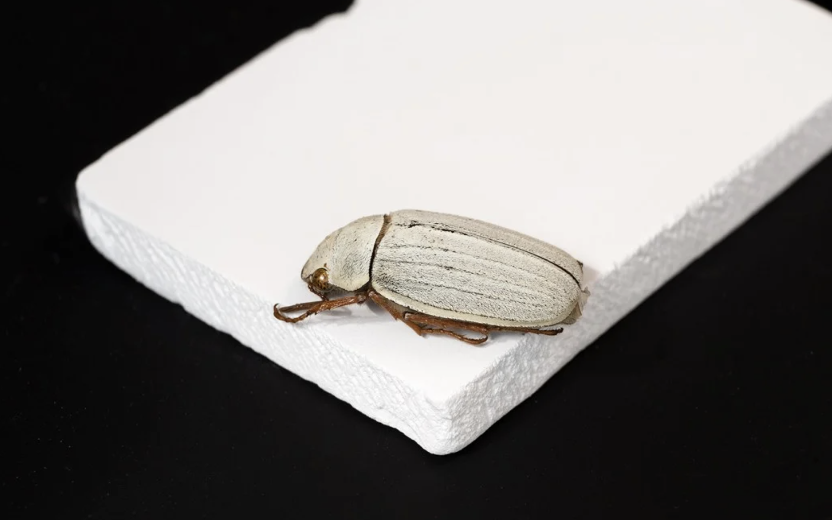 Фізики з Гонконгу представили інноваційний охолоджувальний матеріал