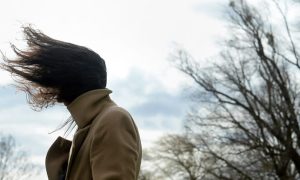 В Києві очікується сильний вітер, оголошено попередження