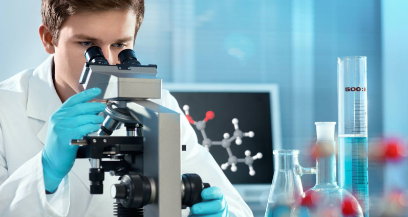 Вчені зробили перше детальне 3D-фото серцевого м’яза ссавців 