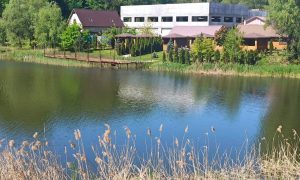 Києву повернули землі ландшафтного заказника