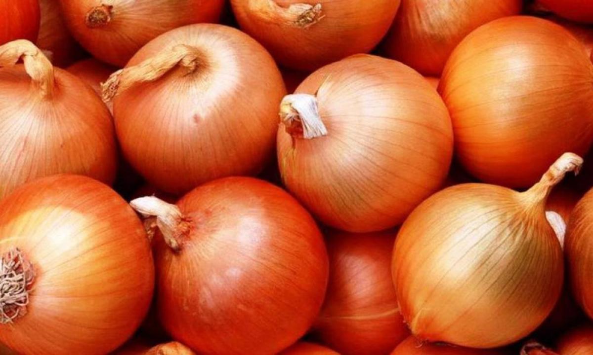 В Україні цибуля подорожчала за тиждень на 20% - EastFruit