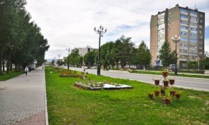 У Києві діятимуть нові правила догляду за насадженнями