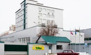 Сонячна енергетика — запорука успіху на висококонкурентних ринках