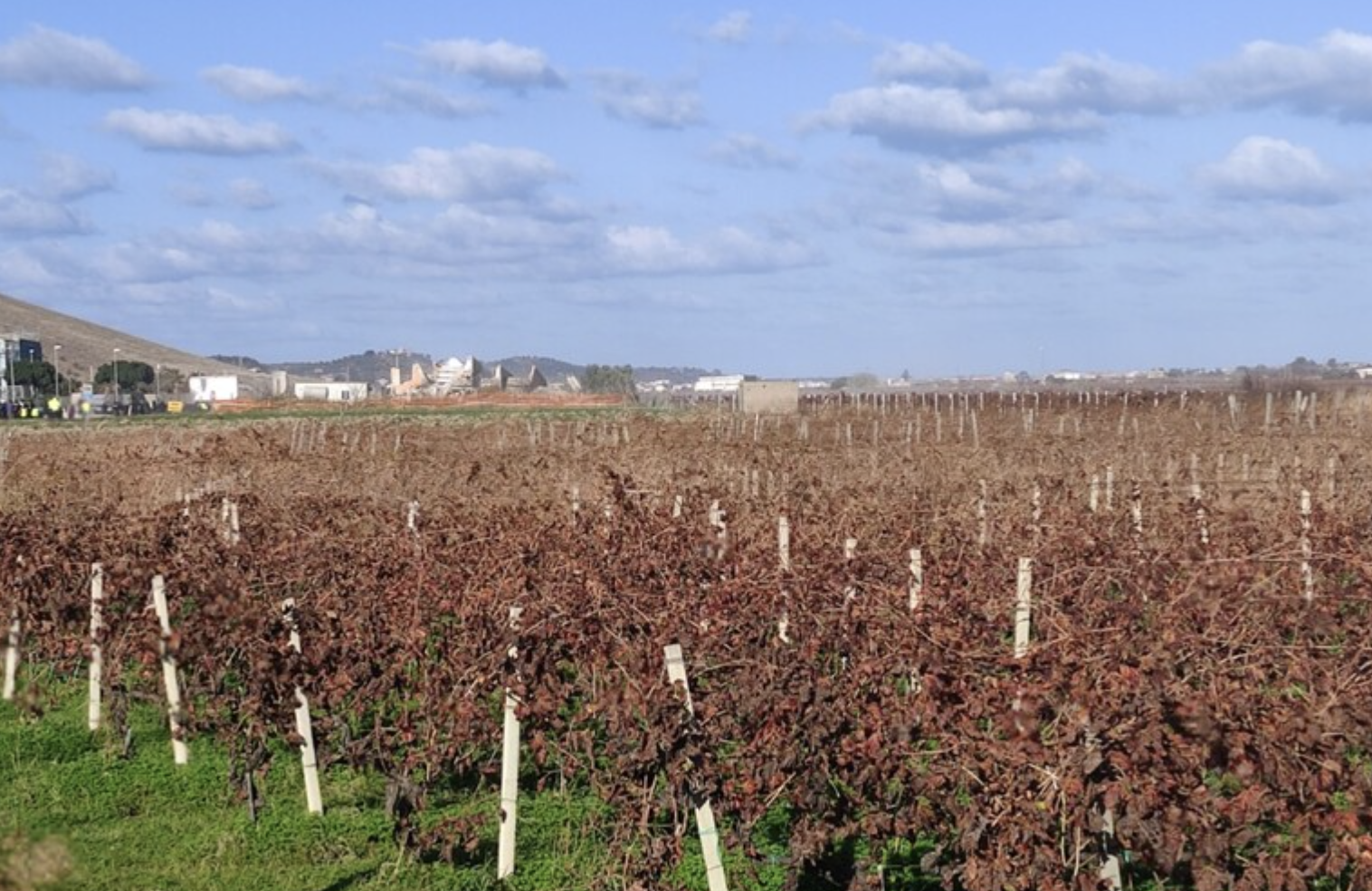 В Італії за допомогою 400 кілограмів вибухівки знищили будівлю-«символ мафії»