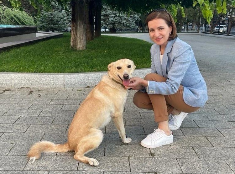 Президентка Молдови відреагувала на інцидент з президентом Австрії та її собакою