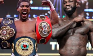 Джошуа та Вайлдер домовилися про два поєдинки