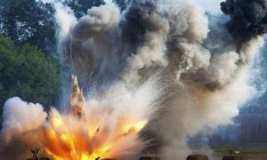 Відновлення українського довкілля: Україна та Болгарія реалізують спільні проєкти