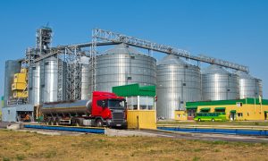 Український агрохолдинг Kernel відтермінував вихід з Варшавської біржі – наступного року