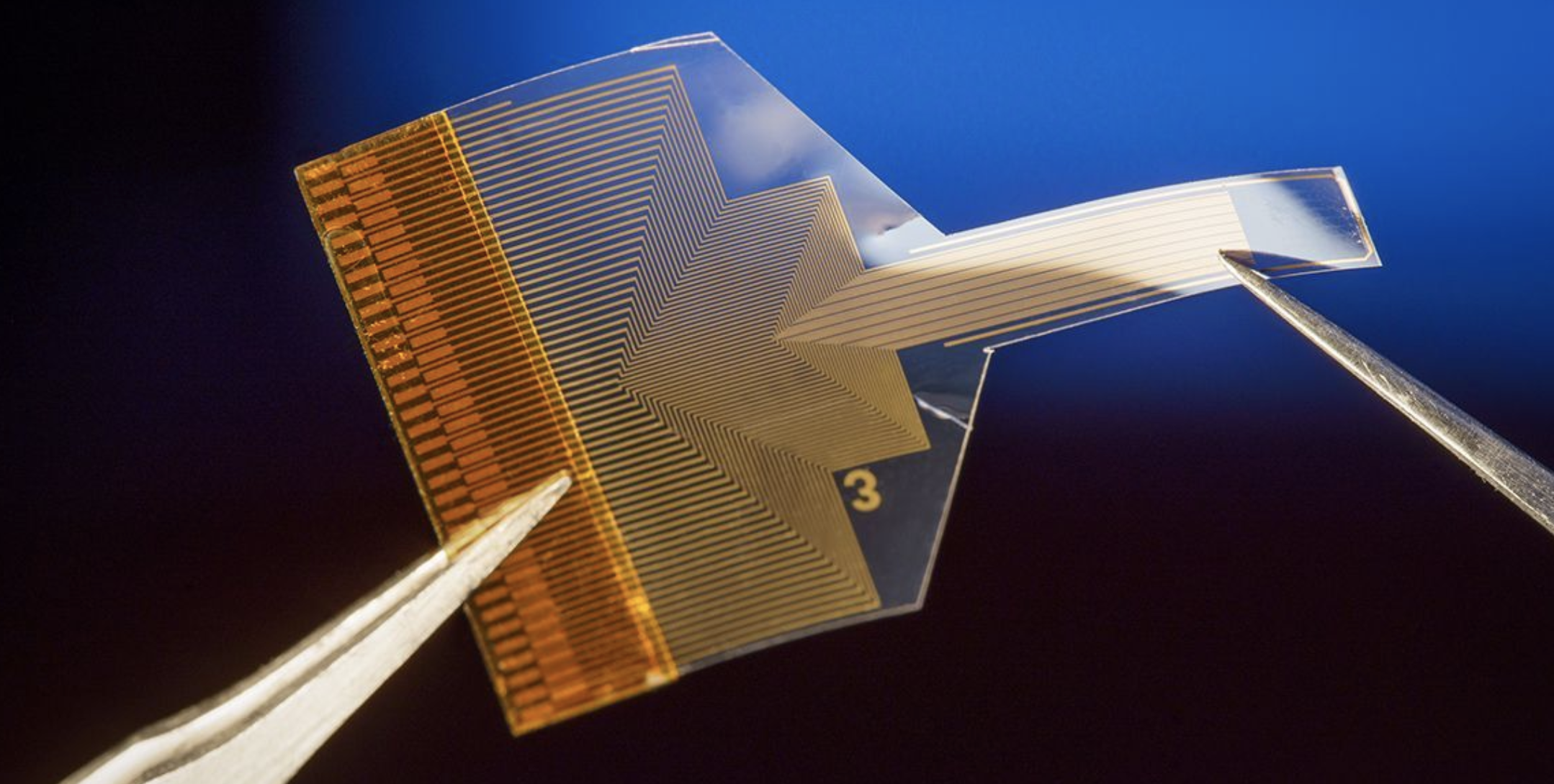 У США представили ефективний мозковий імплант, що зчитує активність нейронів