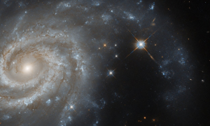 Hubble показав спіральну галактику в сузір'ї Зайця