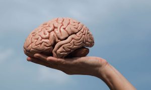 Відео: науковці США вперше надрукували мозкову тканину на 3D-принтері