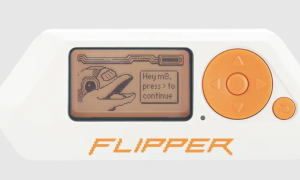 У Канаді можуть заборонити гаджет Flipper Zero. Йому приписують злом автомобілів