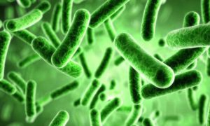 У столичному готелі виявили гостру кишкову інфекцію