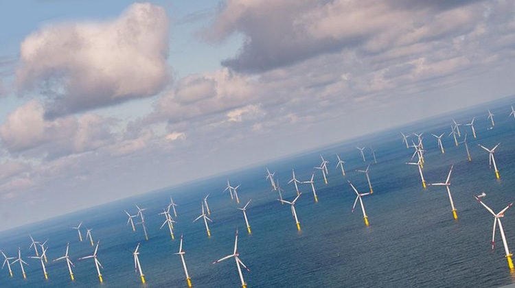 Google стане найбільшим покупцем електроенергії вітрових проєктів в Голландії