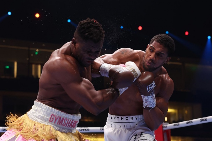 Відео: Джошуа переміг у бою з Нганну яскравим нокаутом