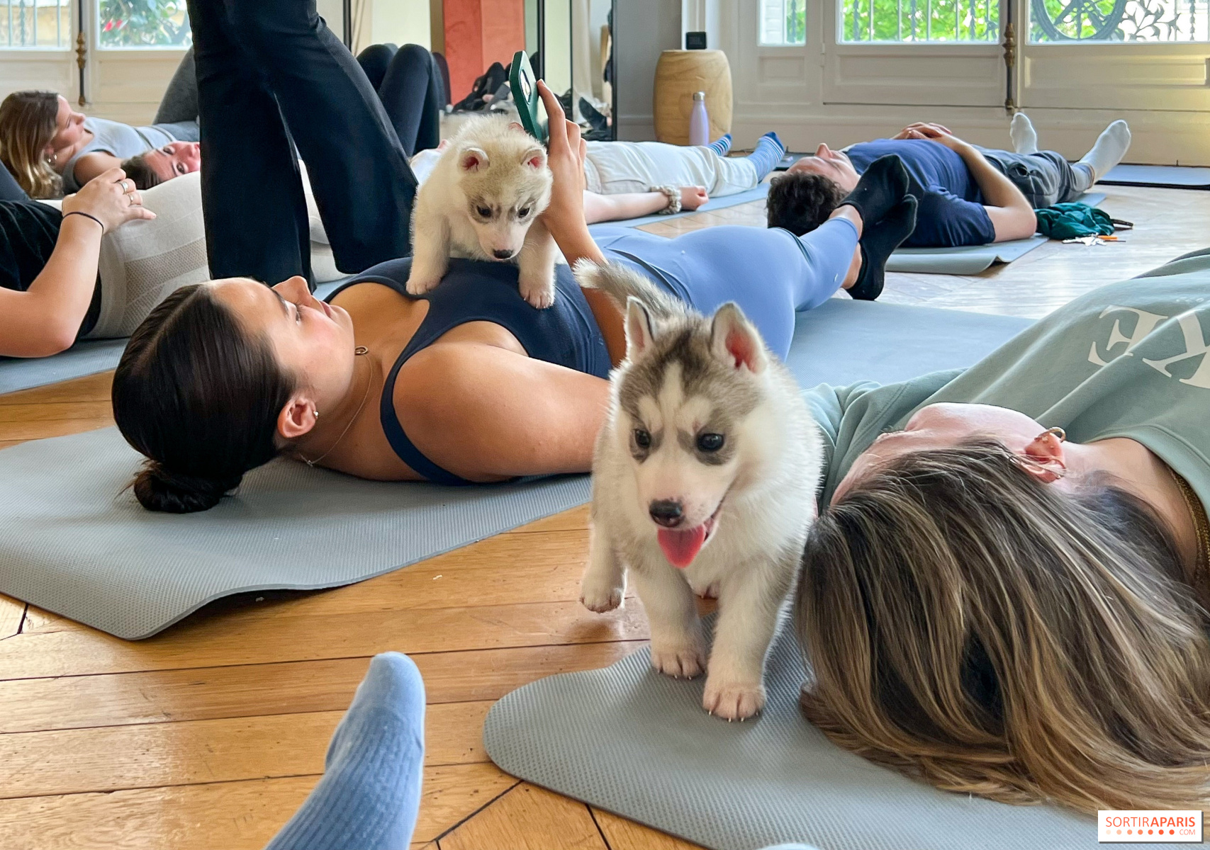 Італія заборонила йогу з цуценятами, щоб захистити тварин