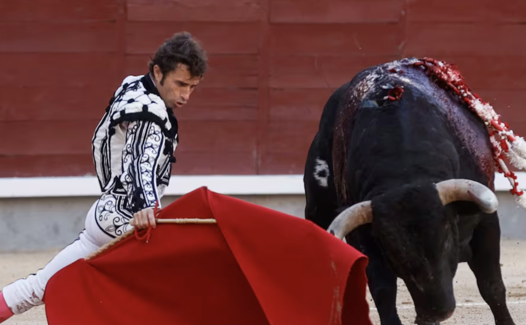 В Іспанії розпочали процедуру зі скасування кориди