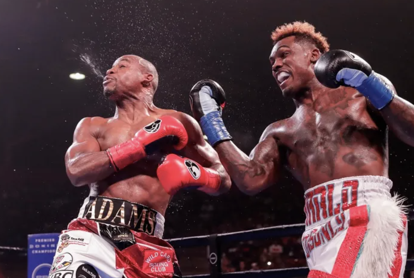 Зірку боксу заарештували в Техасі — звинувачується за трьома пунктами