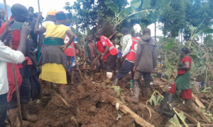 Через зсув в Уганді 15 людей загинули і понад 100 зникли безвісти