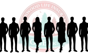 ДБР запросило дані про банківські операції низки людей, які пов’язані зі страховою компанією Greenwood Life Insurance: що знайшли UA.NEWS  