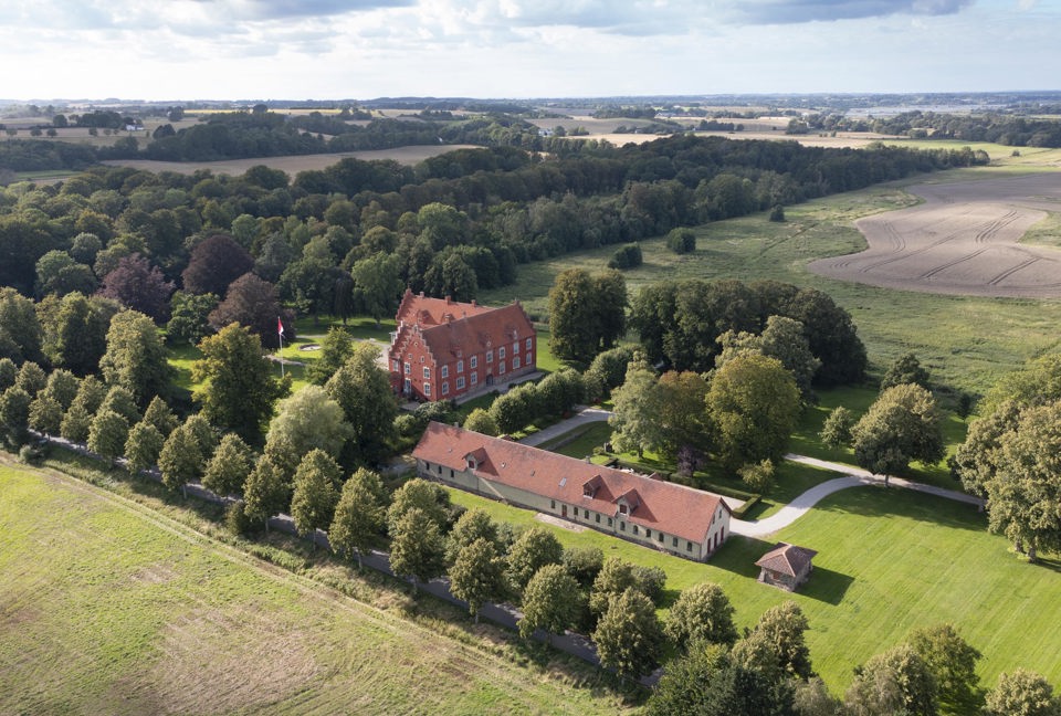 У Данії висадять мільярд дерев, перетворивши сільгоспугіддя на ліси
