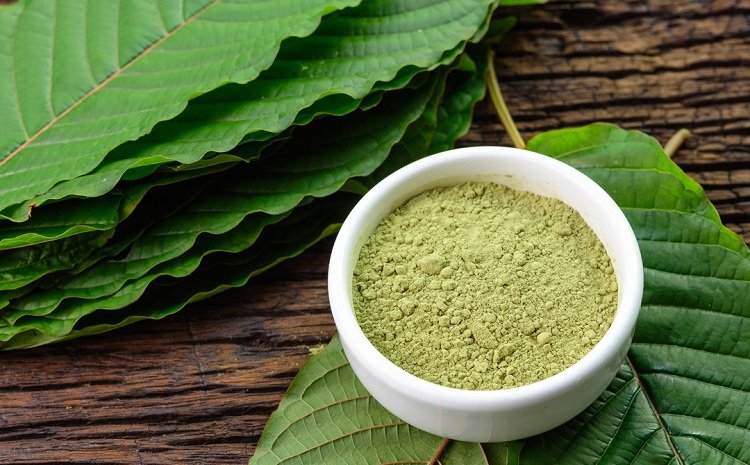 Україна поповнила перелік заборонених психотропних речовин