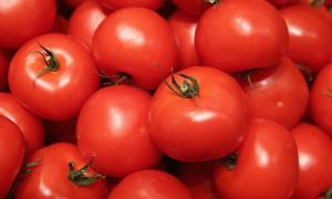 В Україні напередодні новорічних свят подорожчали помідори