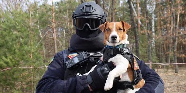 Норвегія виділить 14 млн євро на розмінування України з використанням собак-саперів