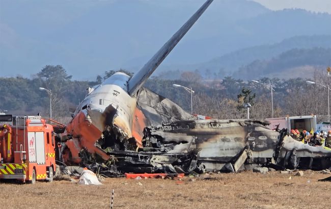 Cлідство встановило першопричину авіакатастрофи у Південній Кореї