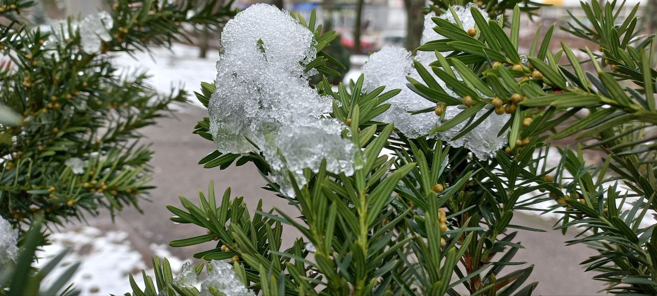 Синоптики розповіли, якою буде погода 10 лютого