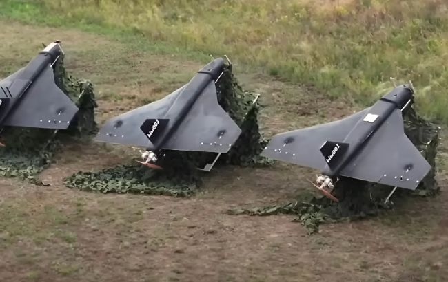 рф обладнала бойовими частинами дрони-обманки Гербера