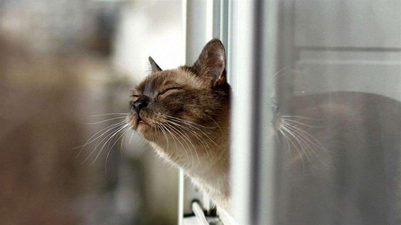 Весняне тепло прийде до України всередині тижня, - синоптикиня Діденко