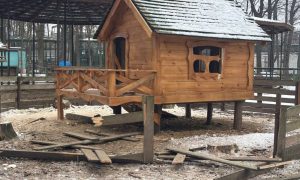 Внаслідок ворожого удару по екопарку  на Харківщині загинули тварини