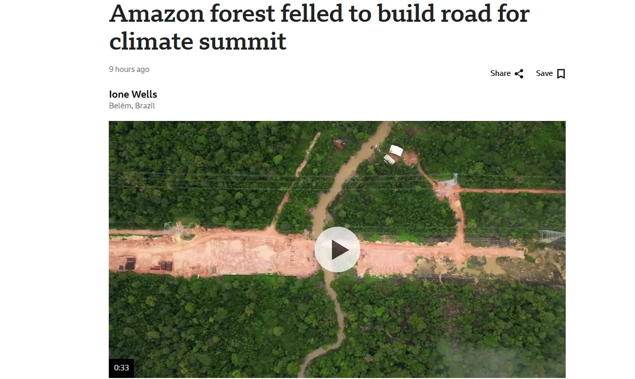 ВВС: У Бразилії вирубають частину Амазонського лісу заради кліматичного саміту