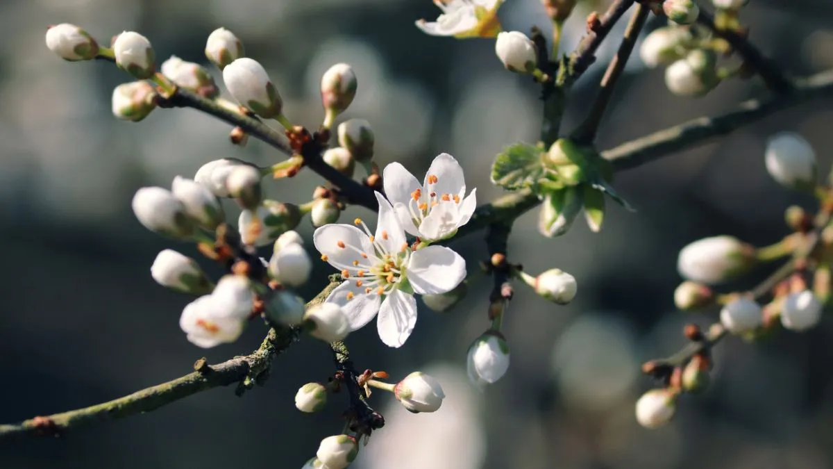 Українців попередили про потепління: яка погода буде 30 квітня
