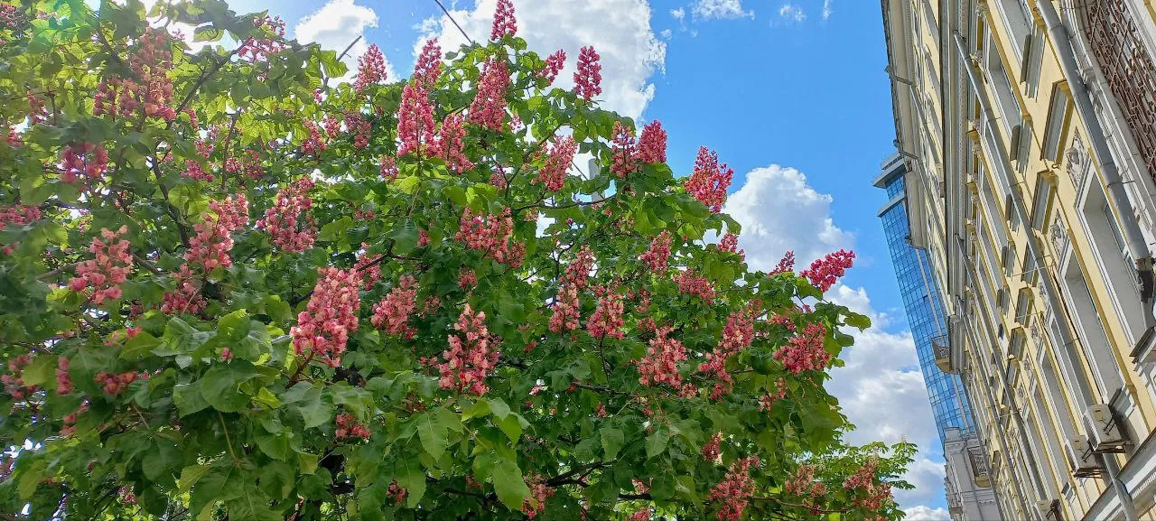 Українців попередили про небезпечну погоду 4 травня